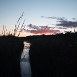 百尊赌场攻略:如何在这里赢得更多的游戏乐趣 6m2ig6