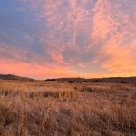 如何通过博雅德州手机App提升你的游戏技巧与乐趣 ji076