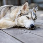 如何通过利澳彩票实现财富梦想与投资回报 otovfb70