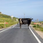 如何选择安全可靠的真钱棋牌平台进行游戏体验 pt1sr