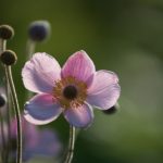 如何通过嬴咖娱乐登录实现轻松赚钱的梦想 rif5h1he