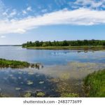 皇冠搏彩:探索博彩世界的无限可能与乐趣 zhaimj4